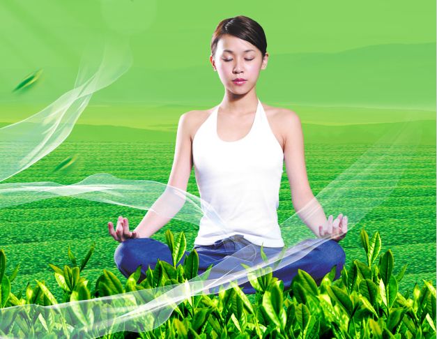 假的学历证书能扫描吗